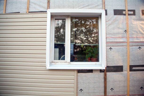 Best Siding for Commercial Buildings  in Silver Bay, MN