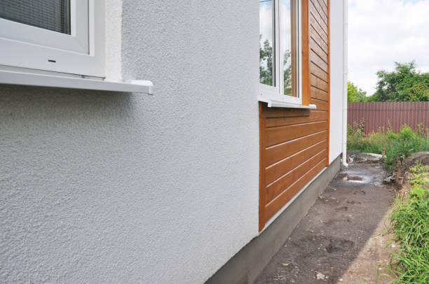 Best Siding Painting and Refinishing  in Silver Bay, MN