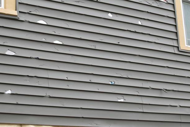 Best Storm Damage Siding Repair  in Silver Bay, MN