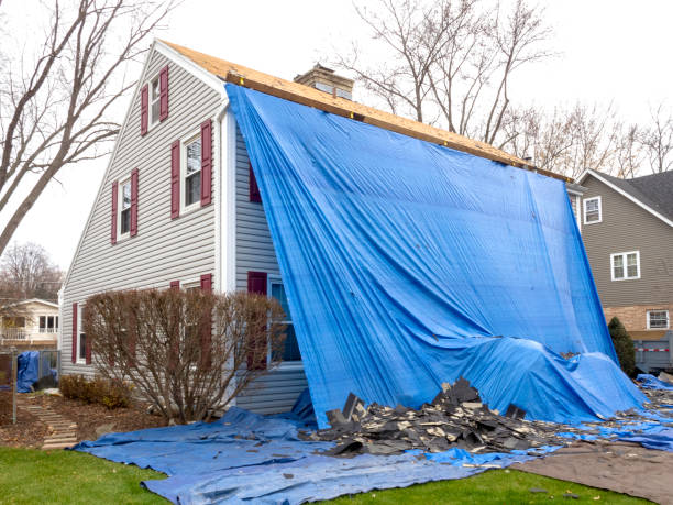 Best Historical Building Siding Restoration  in Silver Bay, MN